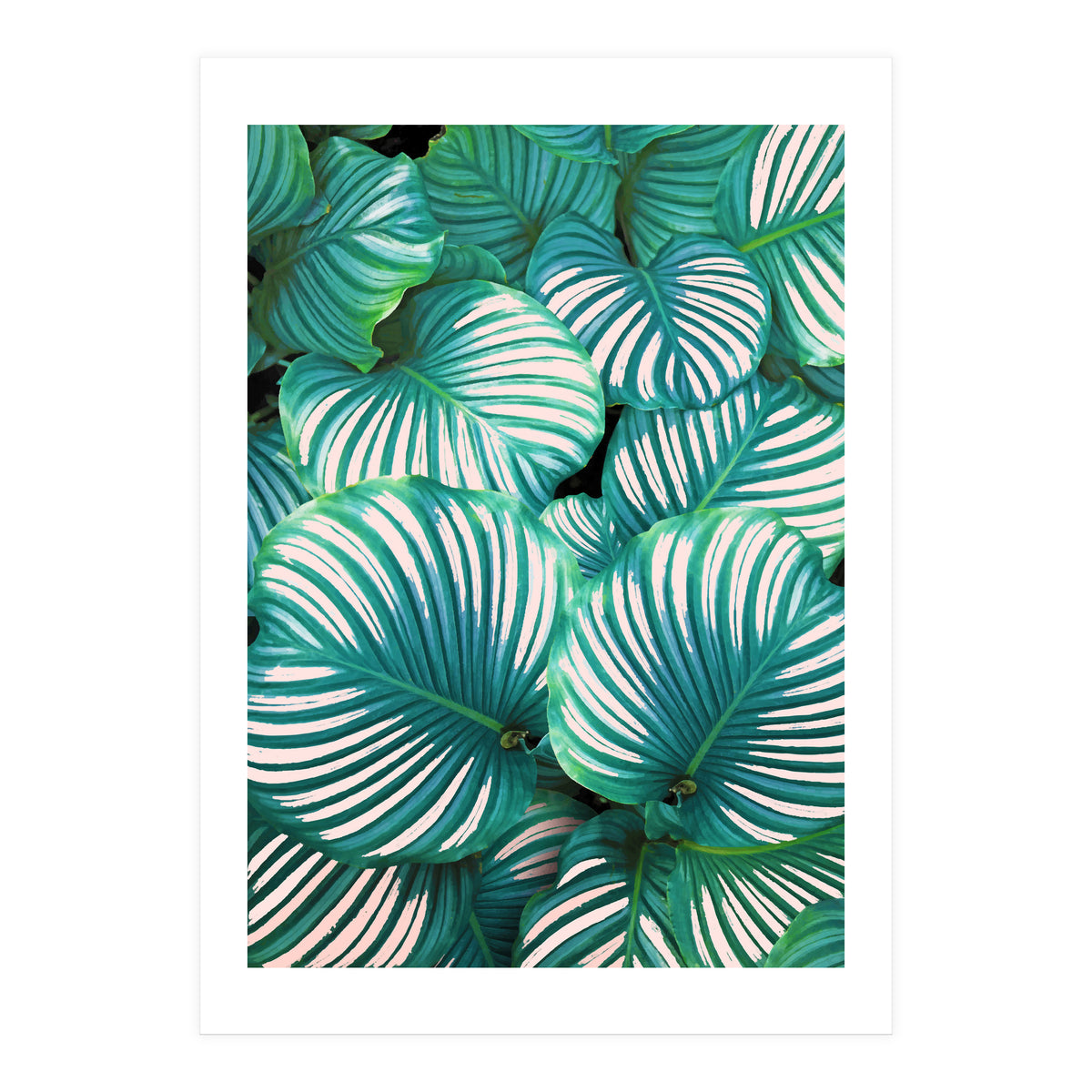 Intemporel #society6 #decor #buyart (Print Only)