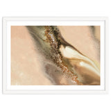 Coastal Dunes thumbnail