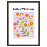 English Wildflowers | Scarlet Pimpernel thumbnail