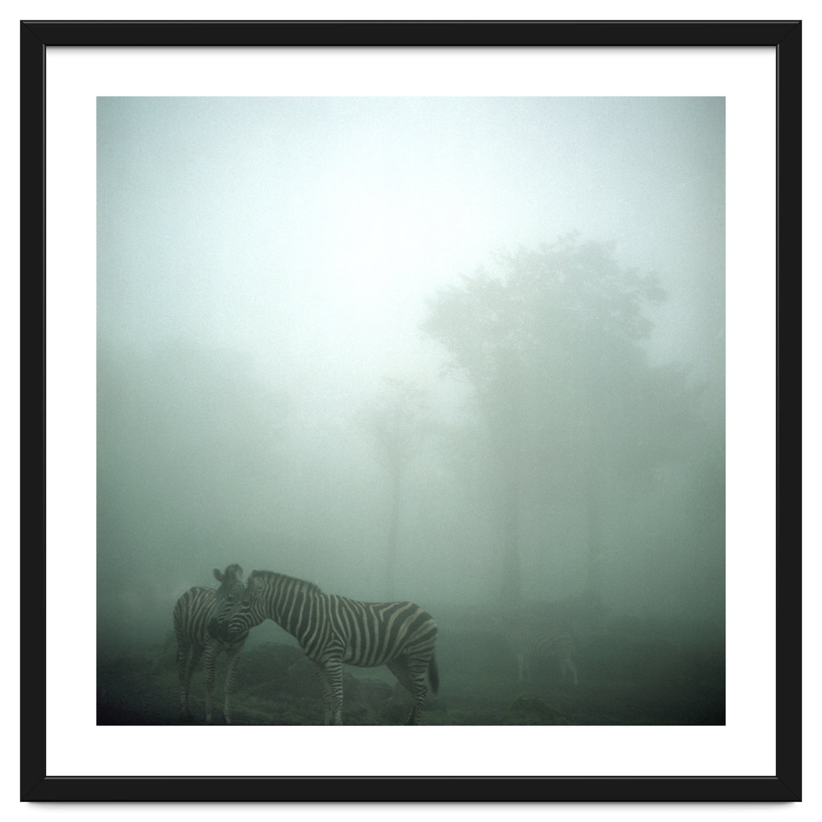 Silence of breath - 15