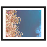 Leaves And Sky thumbnail