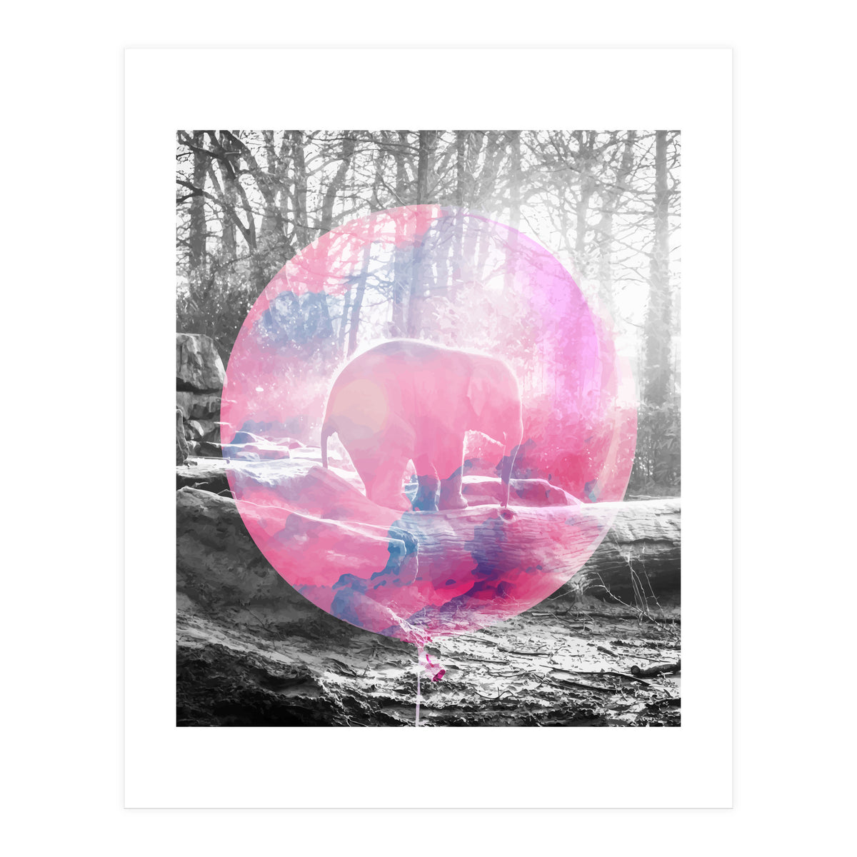 Baby Elephant In A Balloon (Print Only)