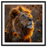 Majestic Lion In A Field Of Sunflowers thumbnail