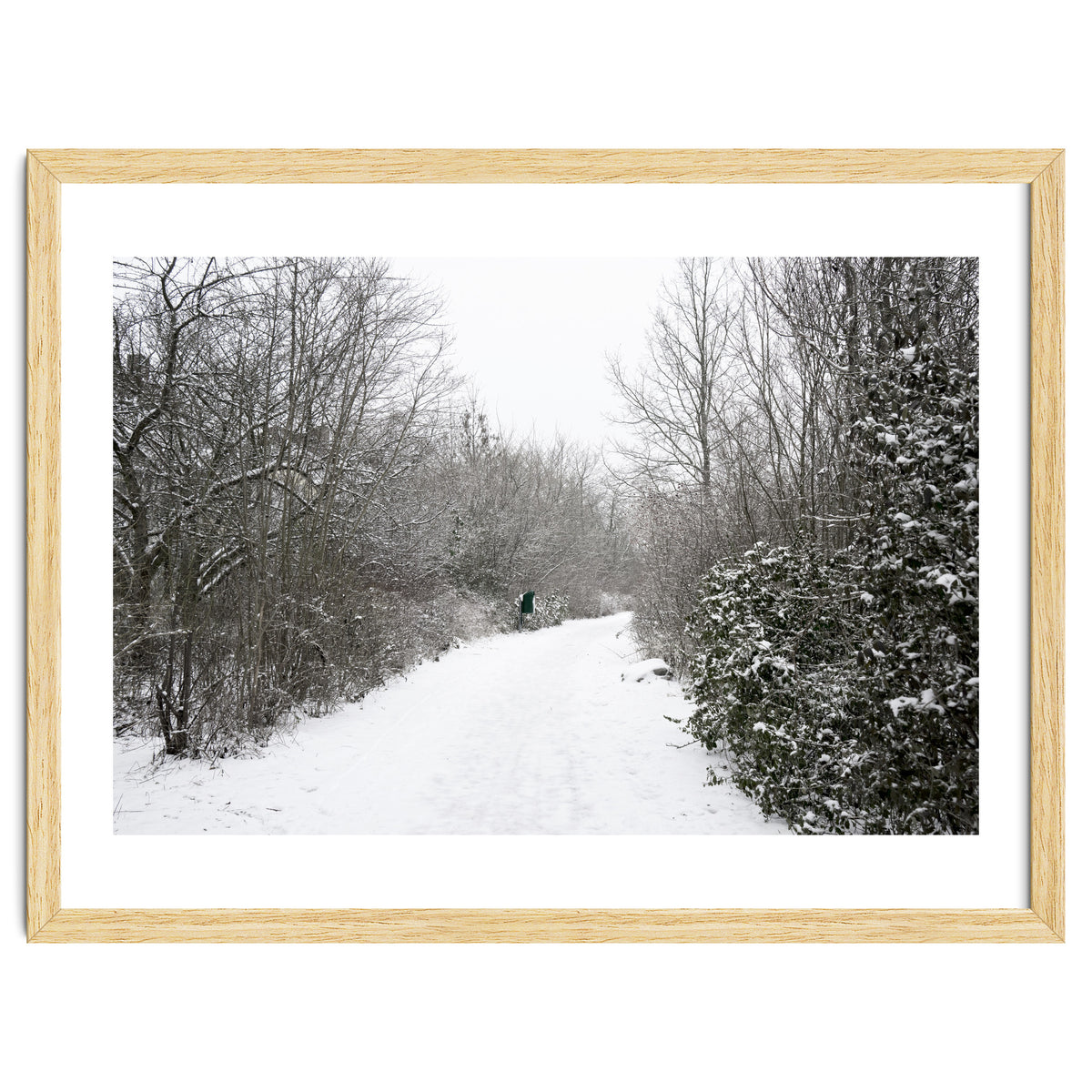 Walking through the snow park