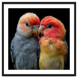 Two Lovebirds Nuzzle Together thumbnail