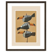 Tropic Trio