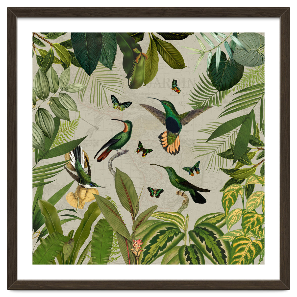 Vintage Exotic Hummingbirds Jungle