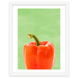 Red Bell Pepper, Fresh Kitchen Art, Capsicum Chilli thumbnail