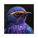 Close Up Portrait Of A Vibrant Exotic Bird (Print Only) thumbnail