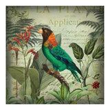 Tropical Bird Nostalgia  (Print Only) thumbnail