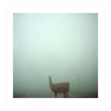 Silence of breath - 04 (Print Only) thumbnail