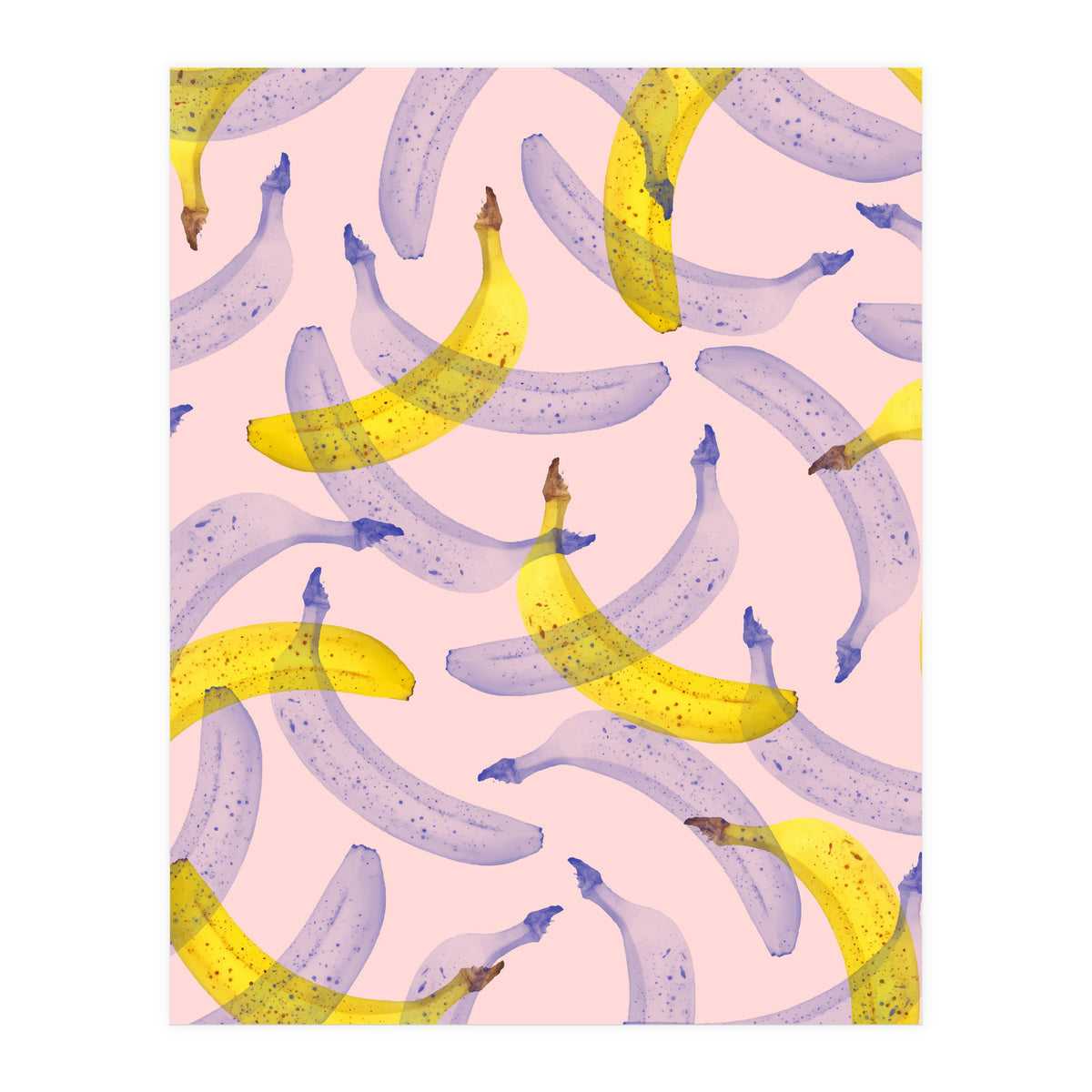 Banana Under Scrutiny (Print Only)