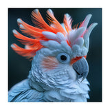 Cockatoo Bird With Orange Crest Portrait (Print Only) thumbnail