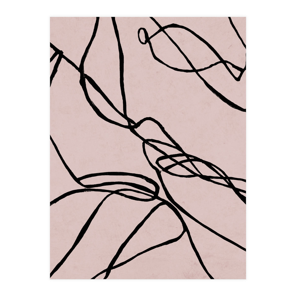 Lines on Rose (Print Only)