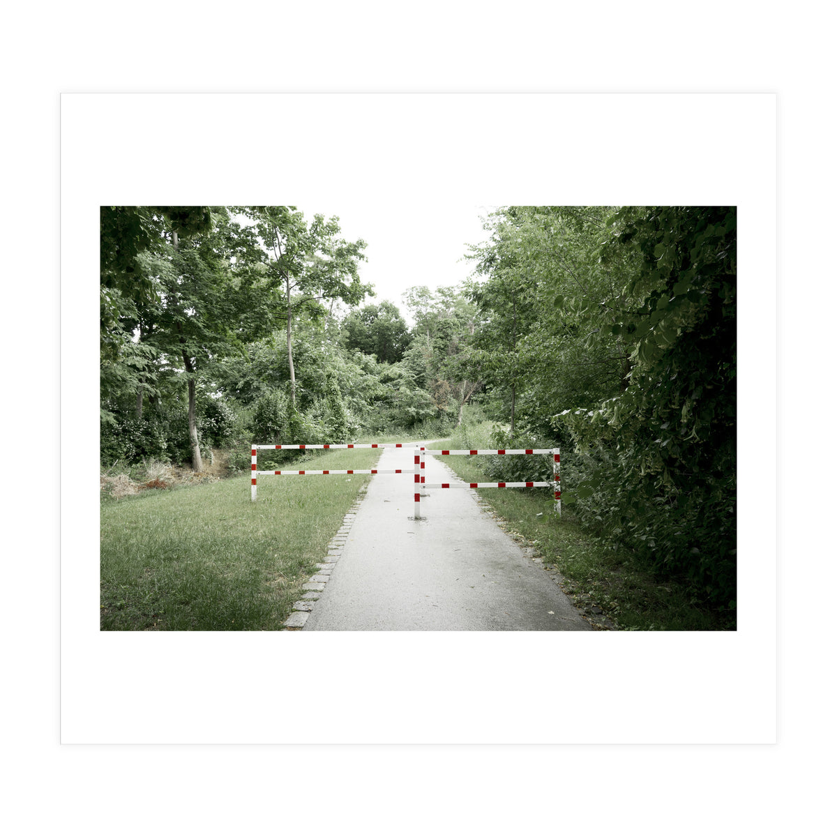 Entrance to the green park (Print Only)