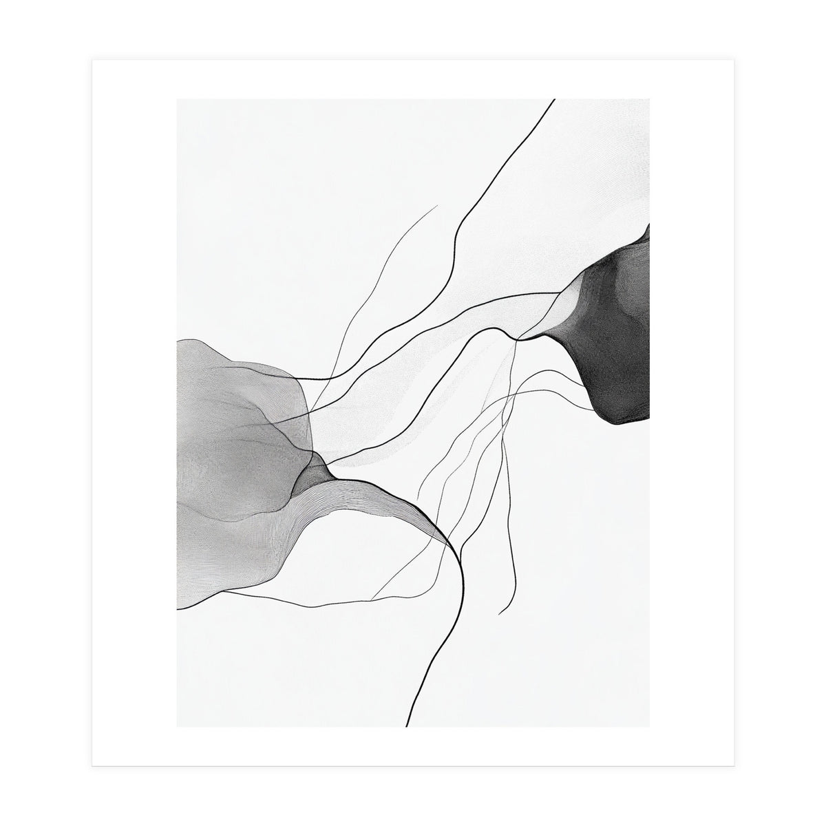 Abstract Black And White Flowing Lines And Shapes On White Background (Print Only)