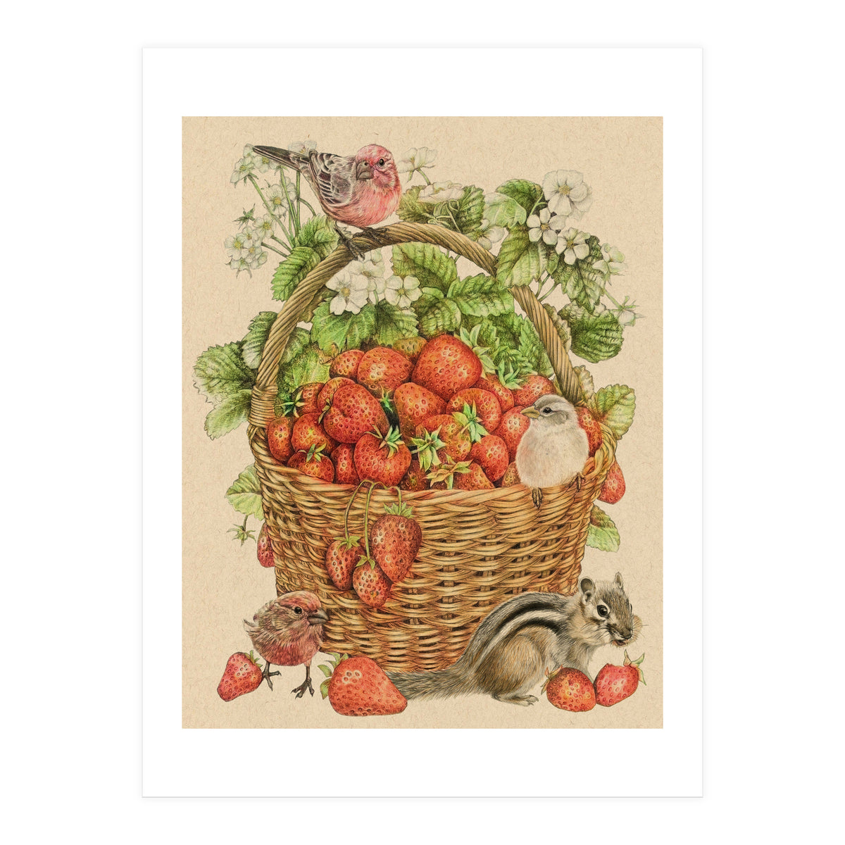 Chipmunk11x14 (Print Only)