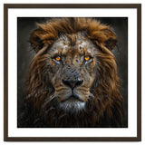 Majestic Lion With Glowing Eyes Close Up Portrait thumbnail