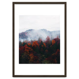 Fog thumbnail