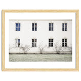 Small trees in between the windows thumbnail