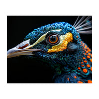 Close Up Of A Peacock Bird Head Eye (Print Only)