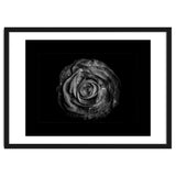 Backyard Flowers In Black And White No 72 with Border thumbnail