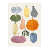 Still Life Of Pumpkins (Print Only) thumbnail