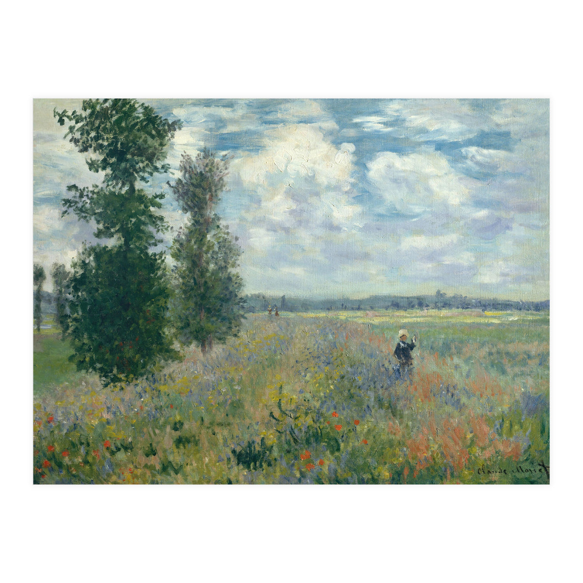 Poppy Fields near Argenteuil. (Print Only)