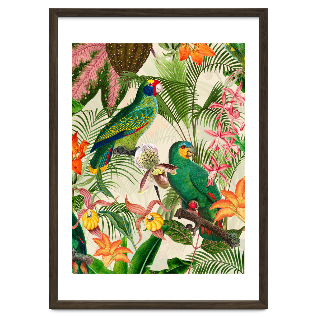 Parrots in tropical Jungle