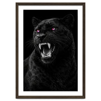 Black leopard with colorful eyes portrait