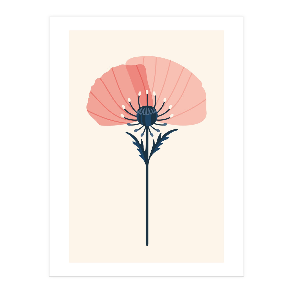 Pink Half Poppy (Print Only)