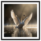 Graceful Swan Spreading Wings On Sparkling Water thumbnail