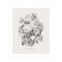 Currier & Ives – Rose of May (1870) (Print Only)