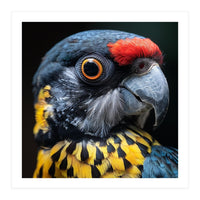 Close-up Portrait of a Vibrant Parrot (Print Only)