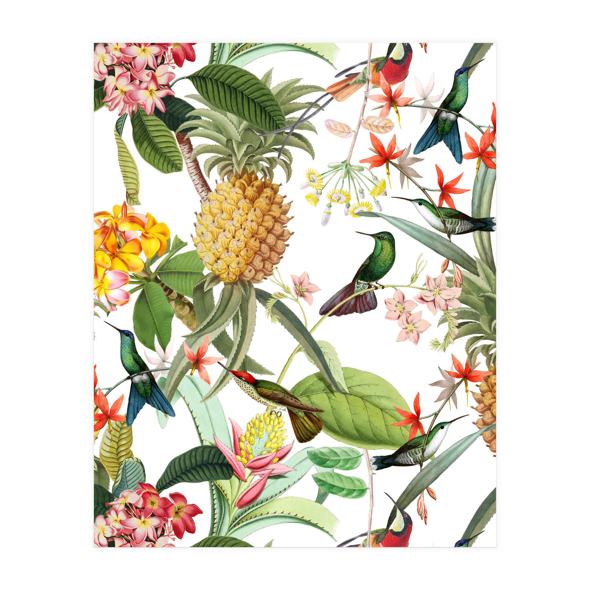Hummingbirds in tropical Jungle (Print Only)