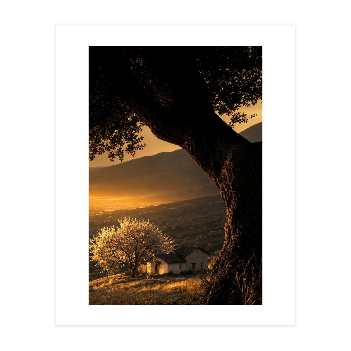 The Hill (Print Only)
