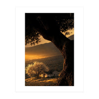 The Hill (Print Only)