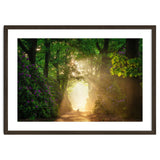 Hare in paradise thumbnail