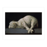 Agnus Dei - ca.1635-40 - oil on canvas - 37,3 x 62 cm - Spanish Baroque - NP 7293. (Print Only) thumbnail