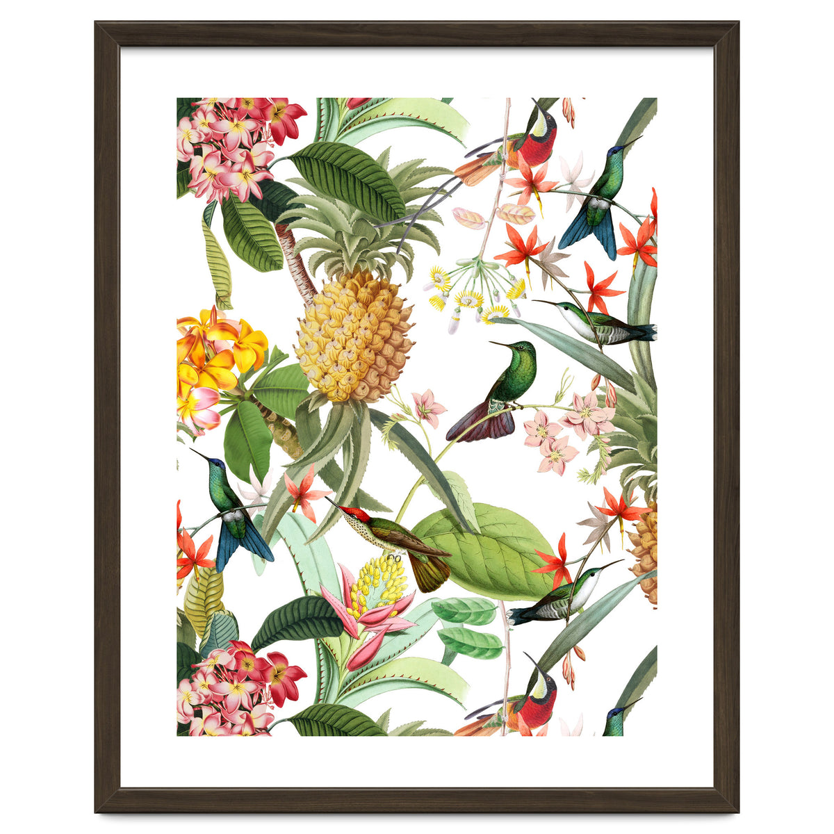 Hummingbirds in tropical Jungle