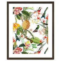 Hummingbirds in tropical Jungle