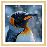 King Penguin Close Up In Snowy Environment thumbnail