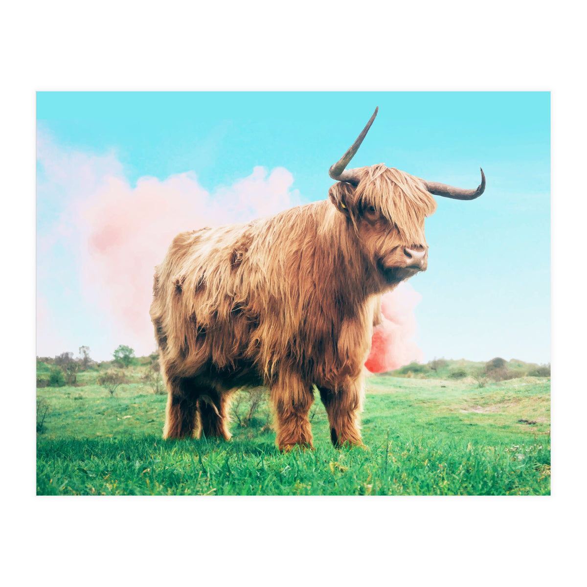 Highland Cow #society6 #decor #buyart (Print Only)