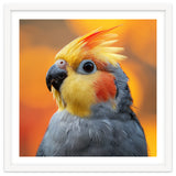 Cockatiel Parrot Close Up thumbnail