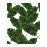 Banana Leaves V2 (Print Only) thumbnail