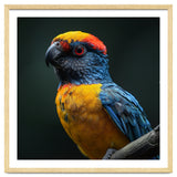 Close Up Colorful Parrot Perched On A Branch thumbnail