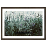 Photography - Summer Garden thumbnail