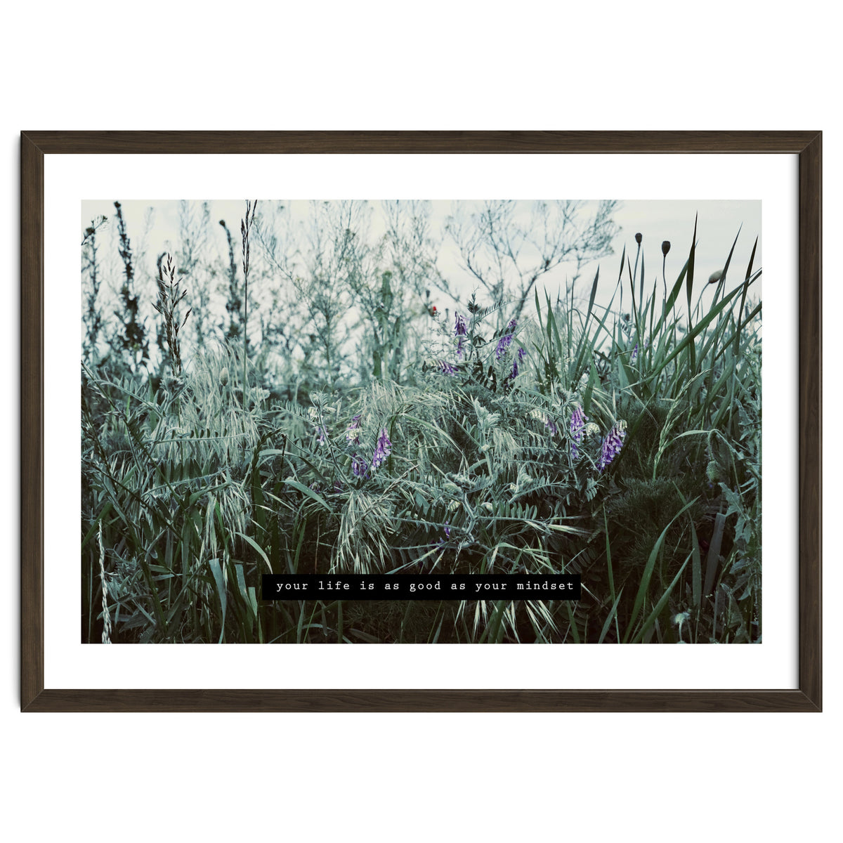 Photography - Summer Garden