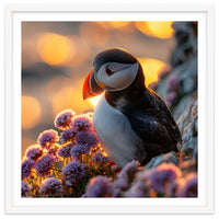 Puffin Bird Amidst Purple Flowers Golden Hour