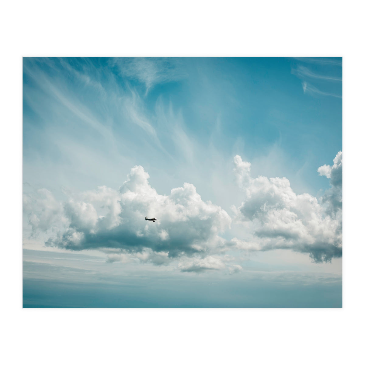 Airborne (Print Only)